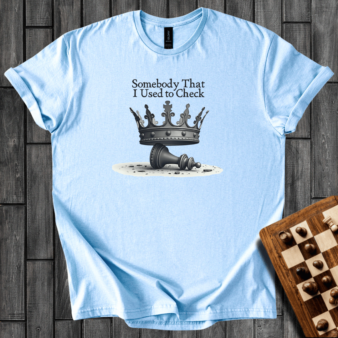 I Used To Check T-Shirt
